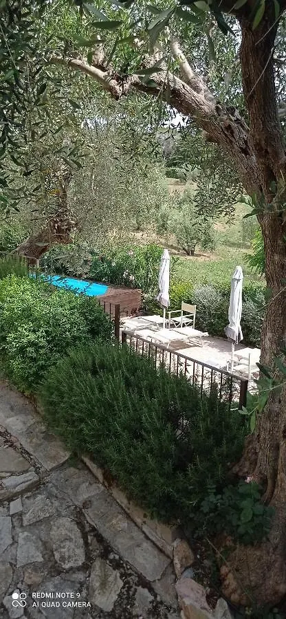 Bed & Breakfast Amore A Prima Vista B&B Campiglia Marittima