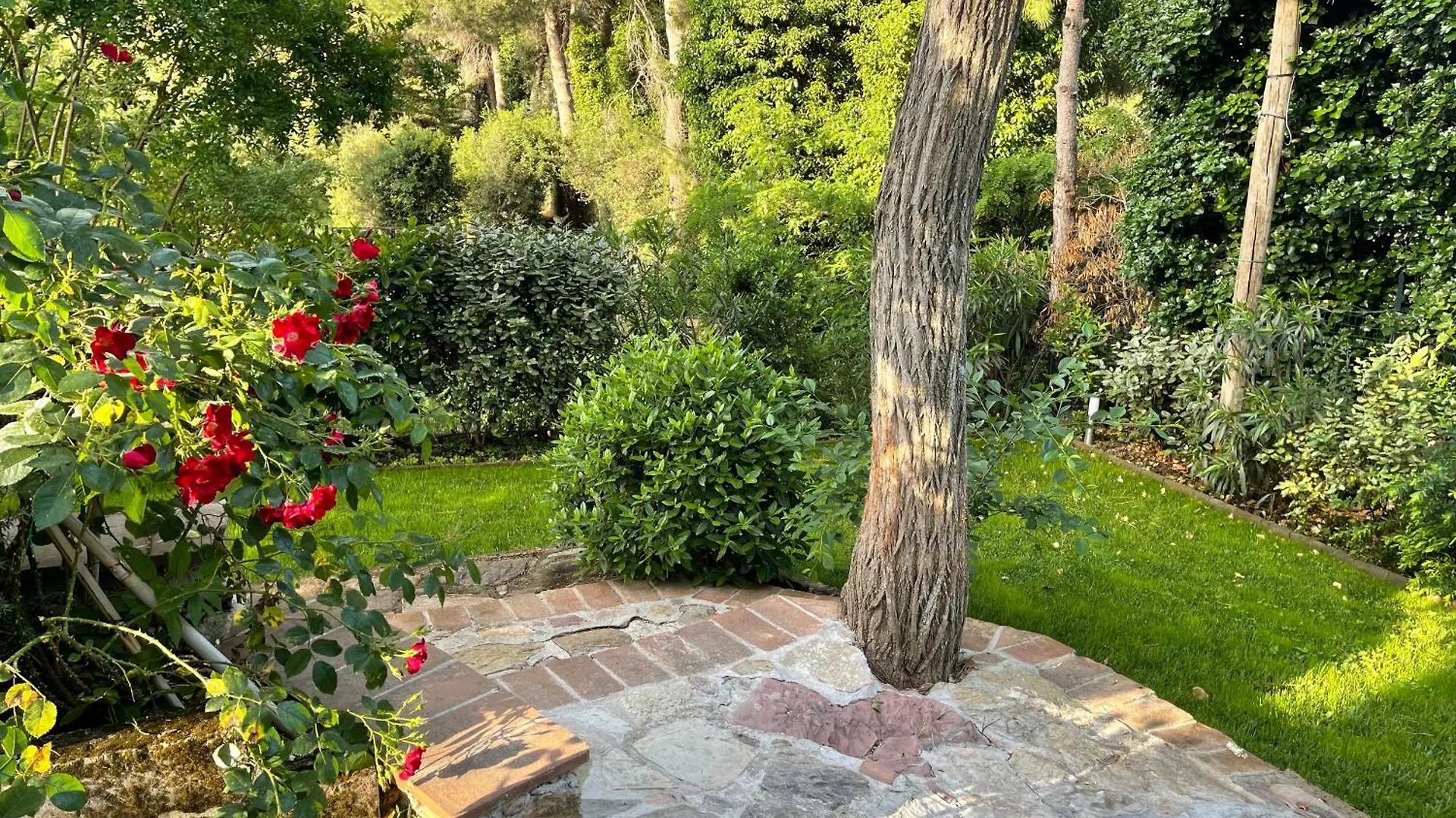 Amore A Prima Vista B&B Campiglia Marittima 0*,  Italy