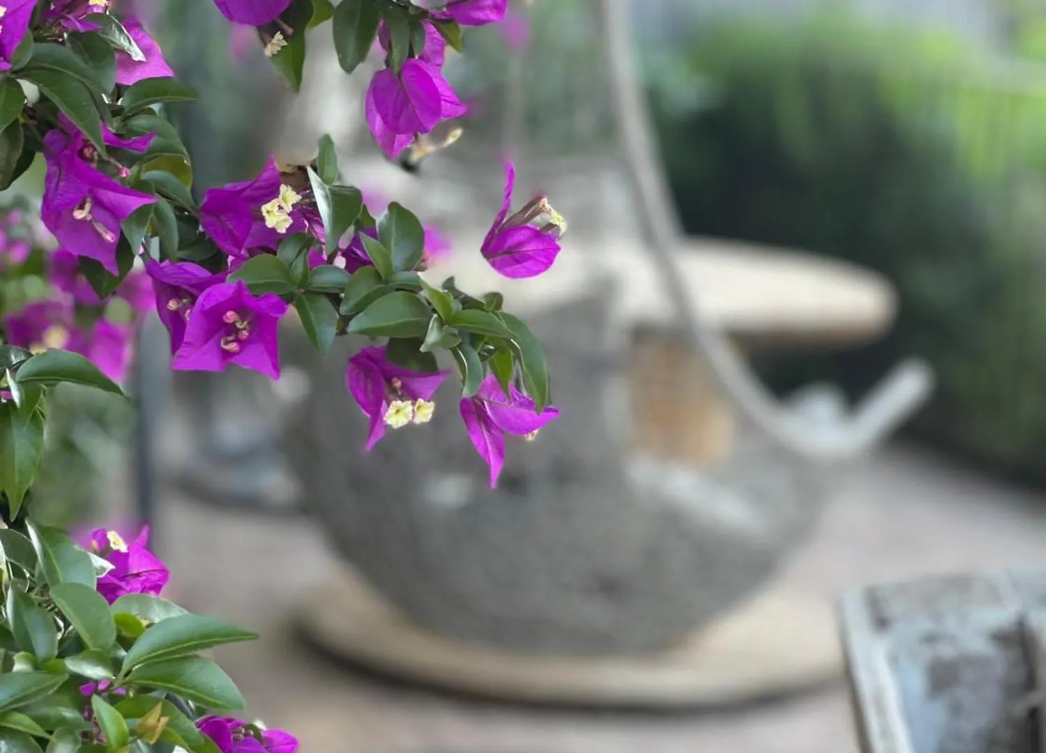 Bed & Breakfast Amore A Prima Vista B&B Campiglia Marittima