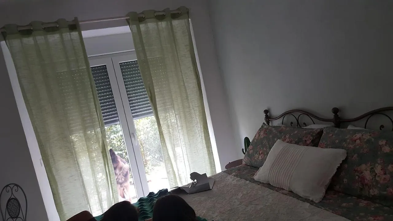 Amore A Prima Vista B&B Campiglia Marittima 0*,  Italy