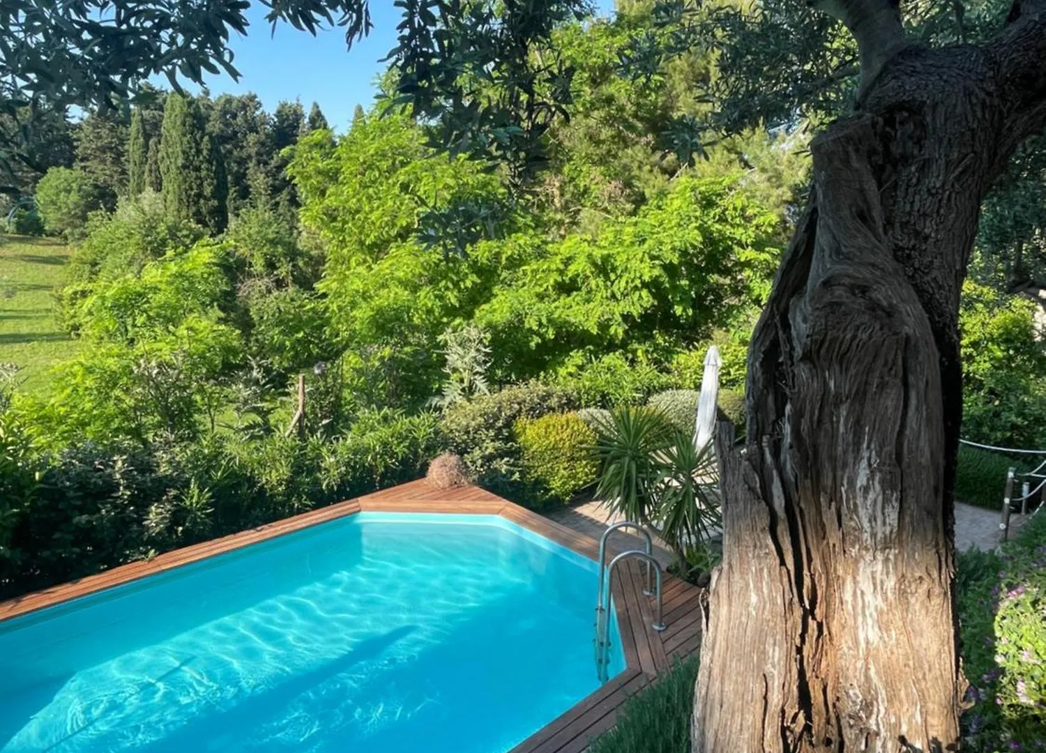 Amore A Prima Vista B&B Campiglia Marittima
