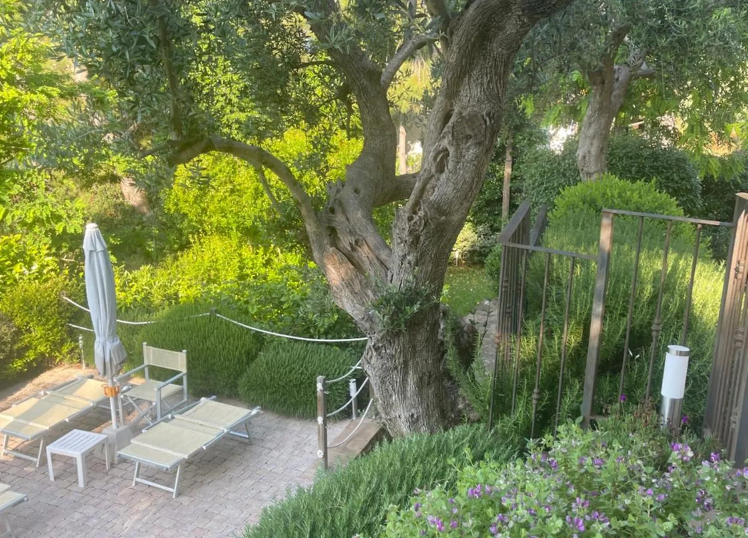 Amore A Prima Vista B&B Campiglia Marittima 0*,